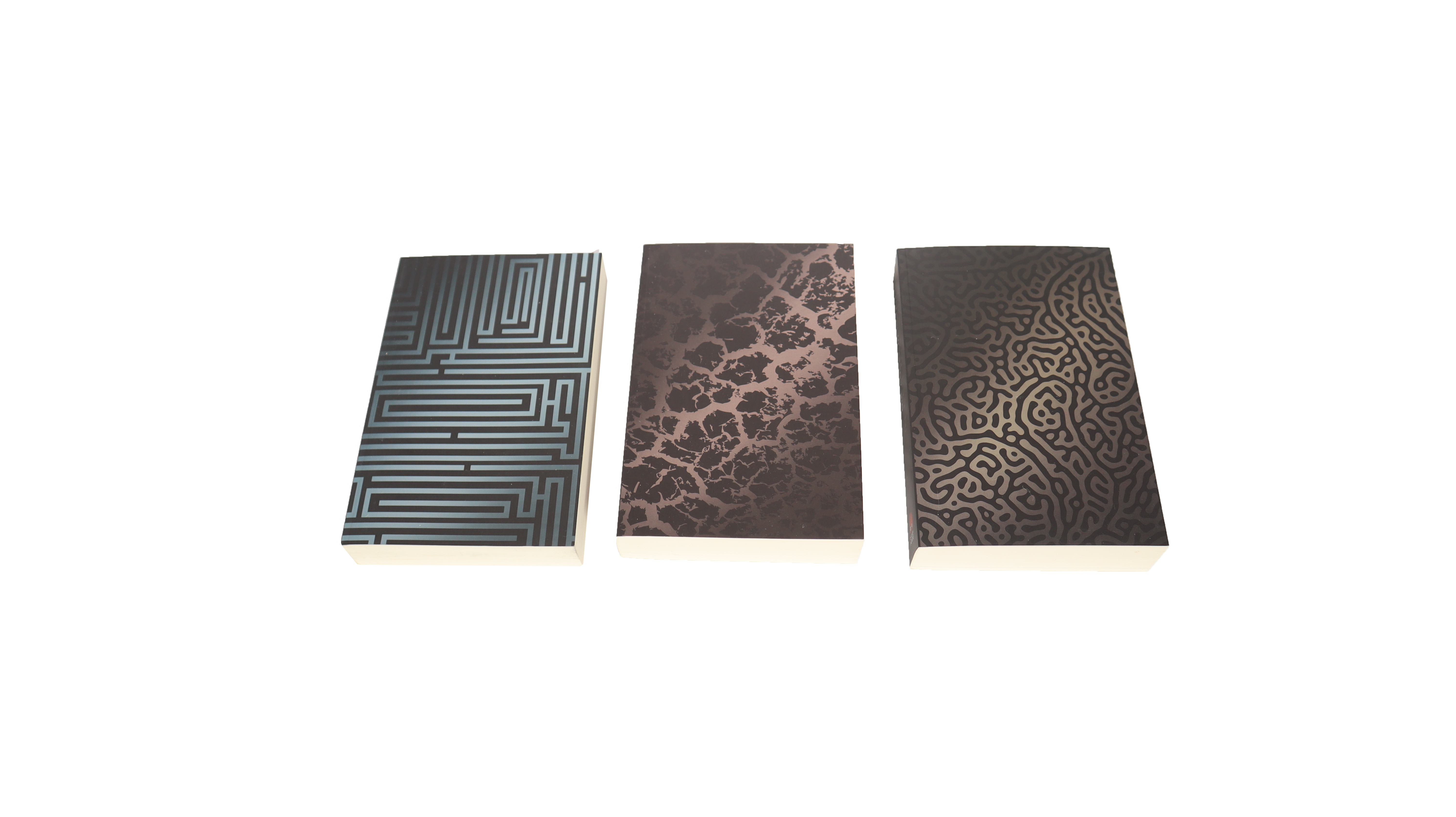 Maze Runner Trilogie im Schuber Taschenbuch