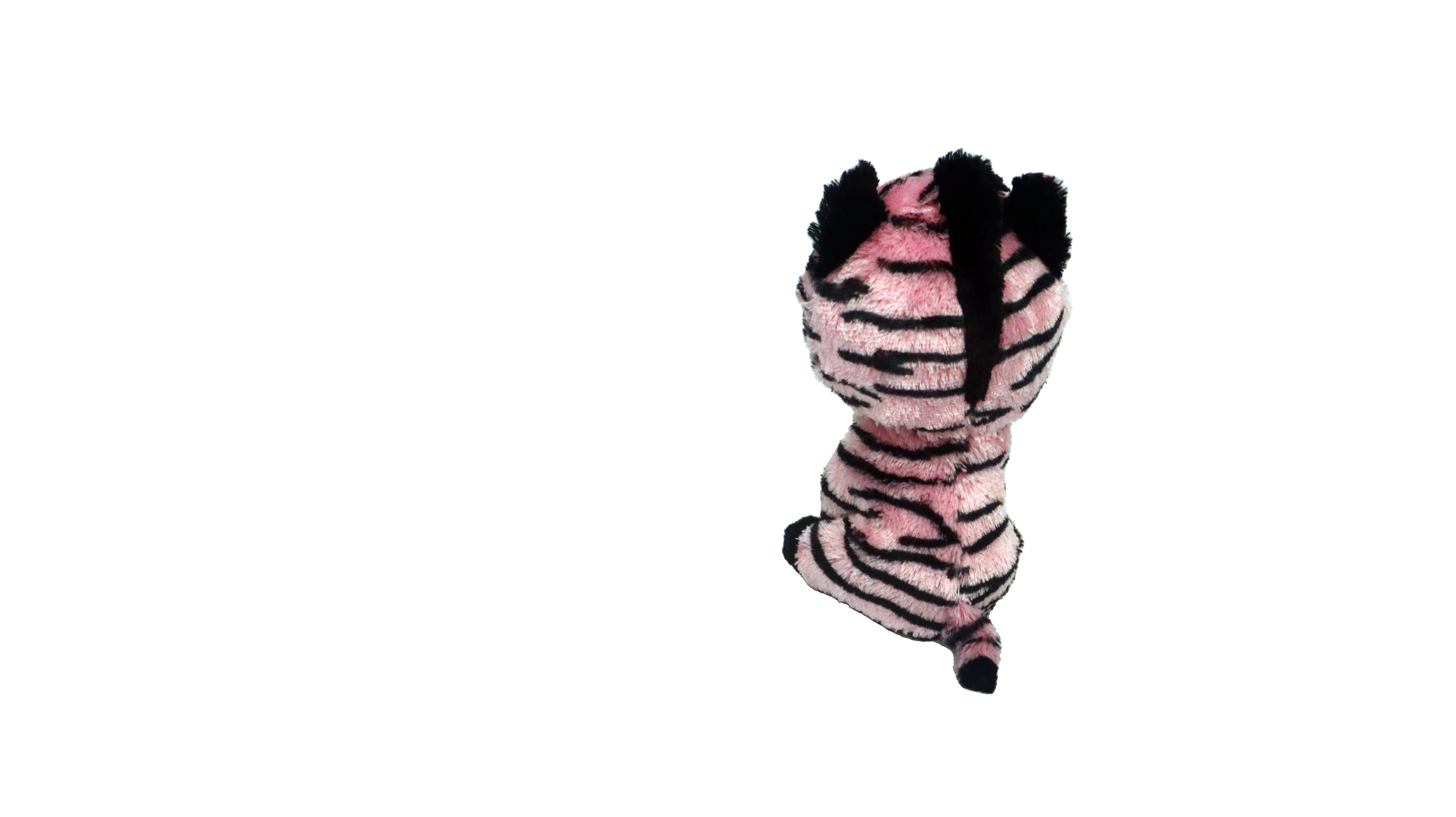 Glubschi-Zebra