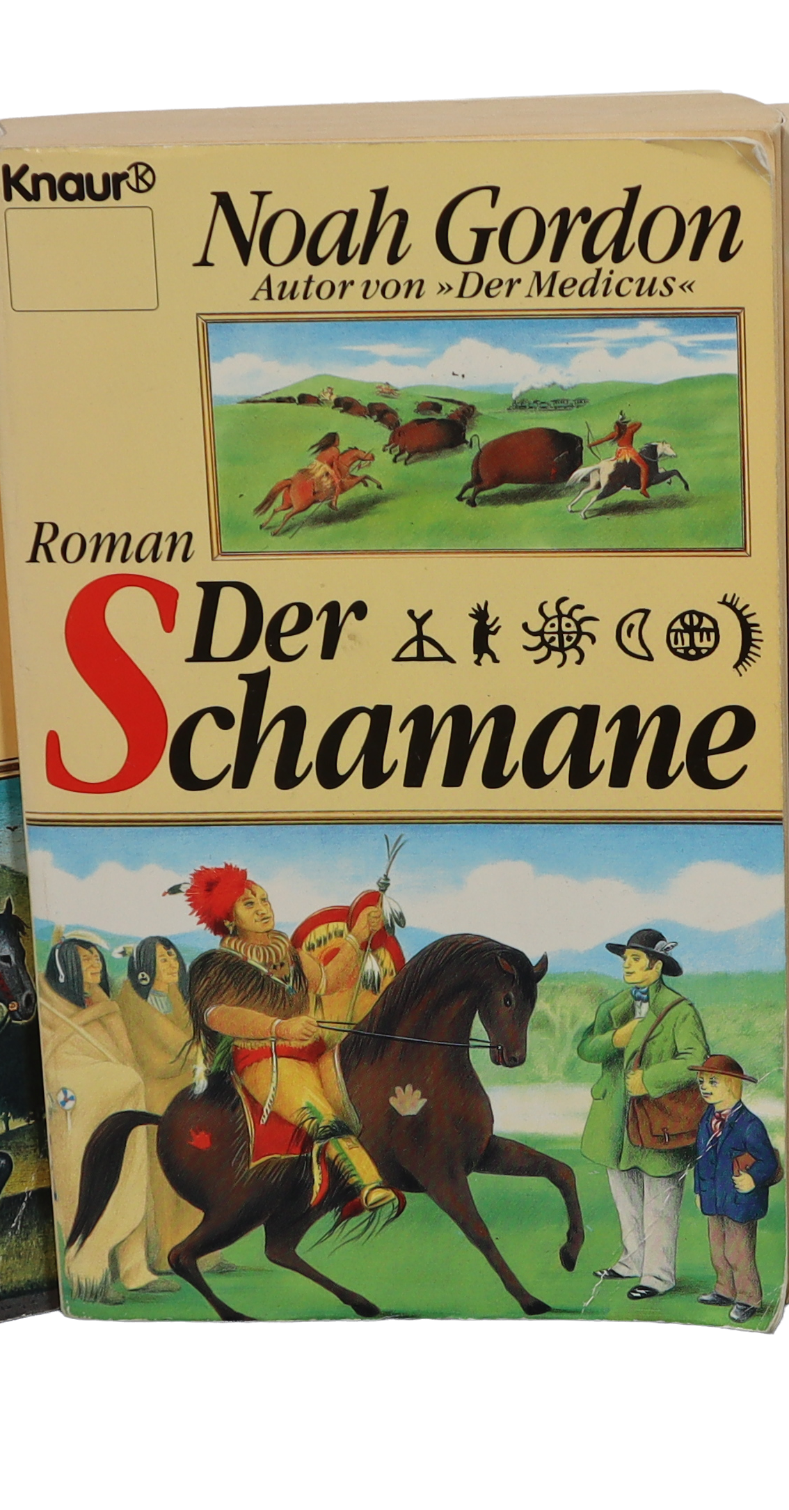 Der Schamane Roman