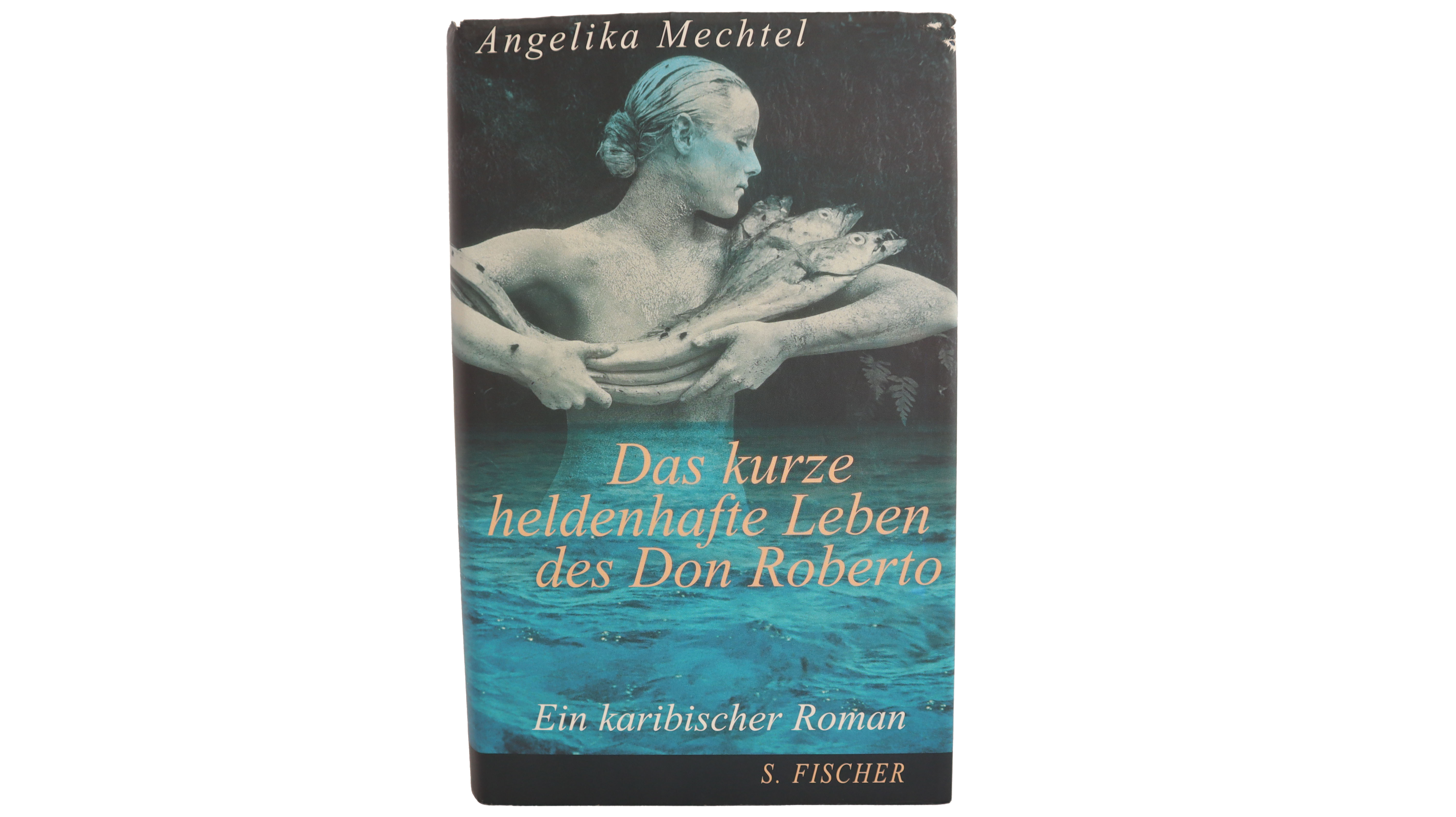 Angelika Mechtel - Das kurze heldenhafte Leben des Don Roberto