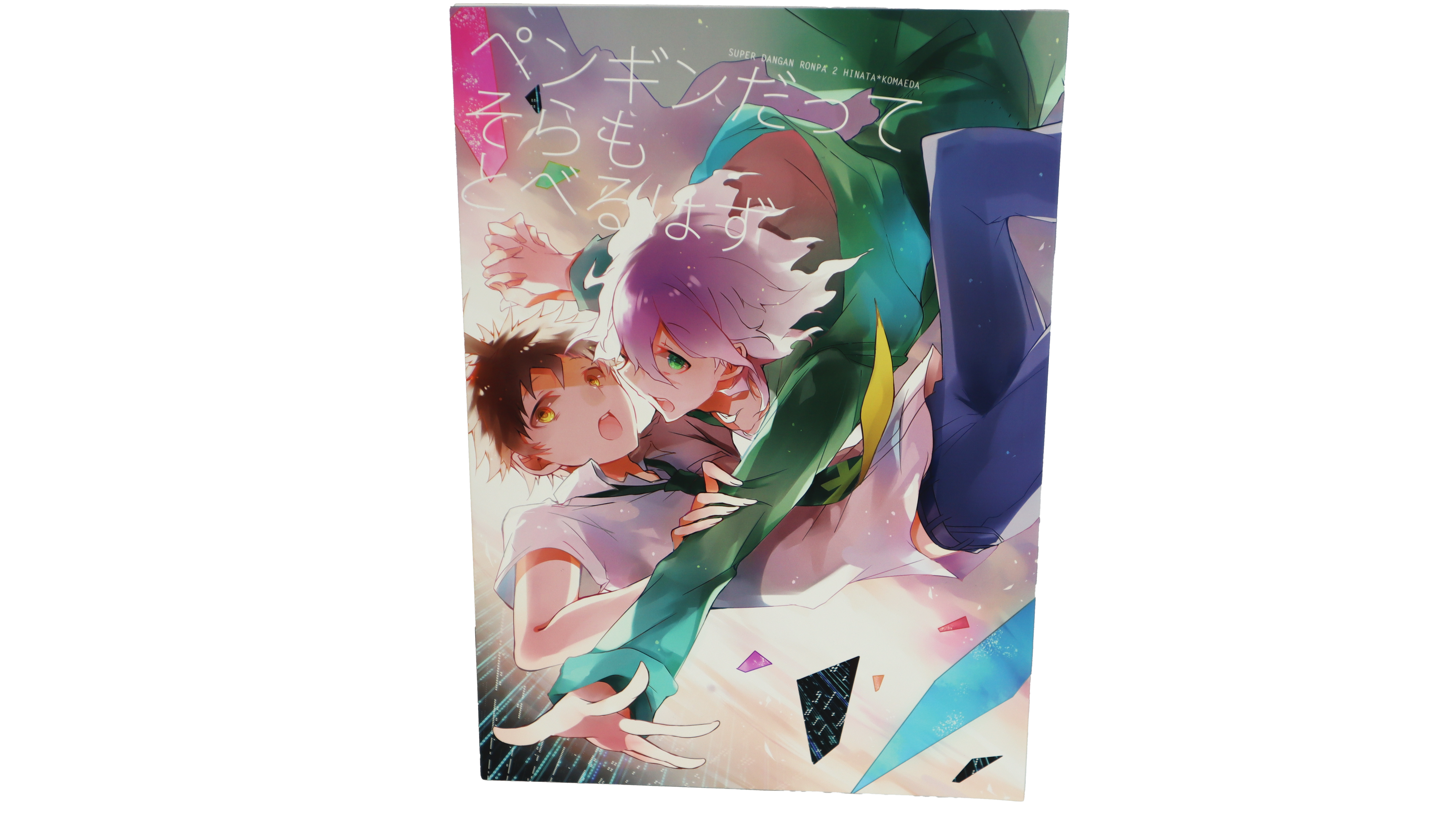 Super Dangan Ronpa 2 Hinata/Komaeda BL Doujinshi (Japanisch)