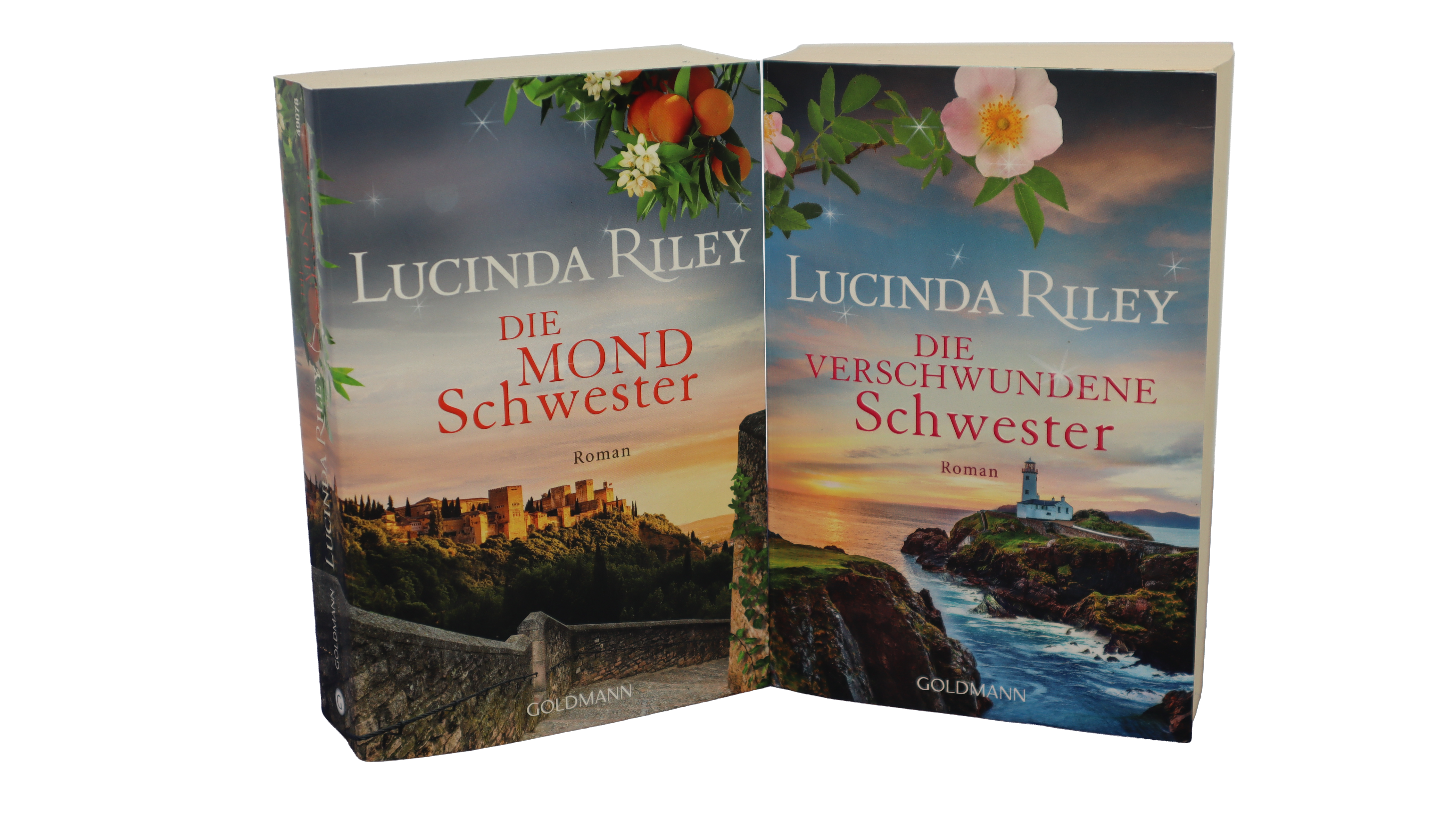 Lucinda Riley Doppelpack Die Mond Schwester + Die verschwundene Schwester Roman
